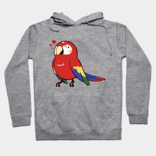 Macaw 2 Hoodie